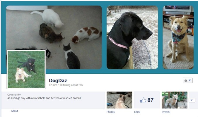 dogdaz fb